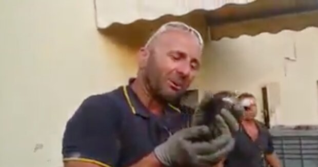 Mutiger Feuerwehrmann konnte seine Emotionen nicht zurückhalten, als er ein winziges Kätzchen rettete