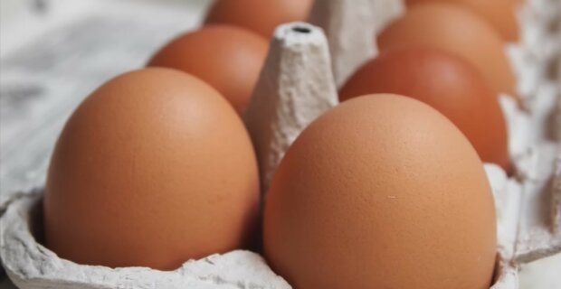 Ein Experte wurde blass, nachdem er ein seltsames Ei unter einem Bett gefunden hatte