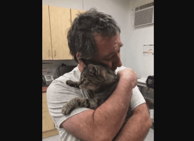 Sieben Jahre Trennung: Seit Jahren sucht ein Mann seine Katze und das Leben hat ihm ein Geschenk gemacht