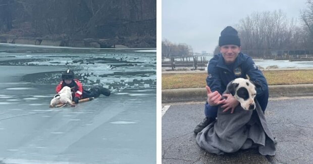 Ein Hund fiel in einen eiskalten Fluss, wurde aber von aufmerksamen Menschen gerettet